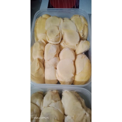 

Durian Medan