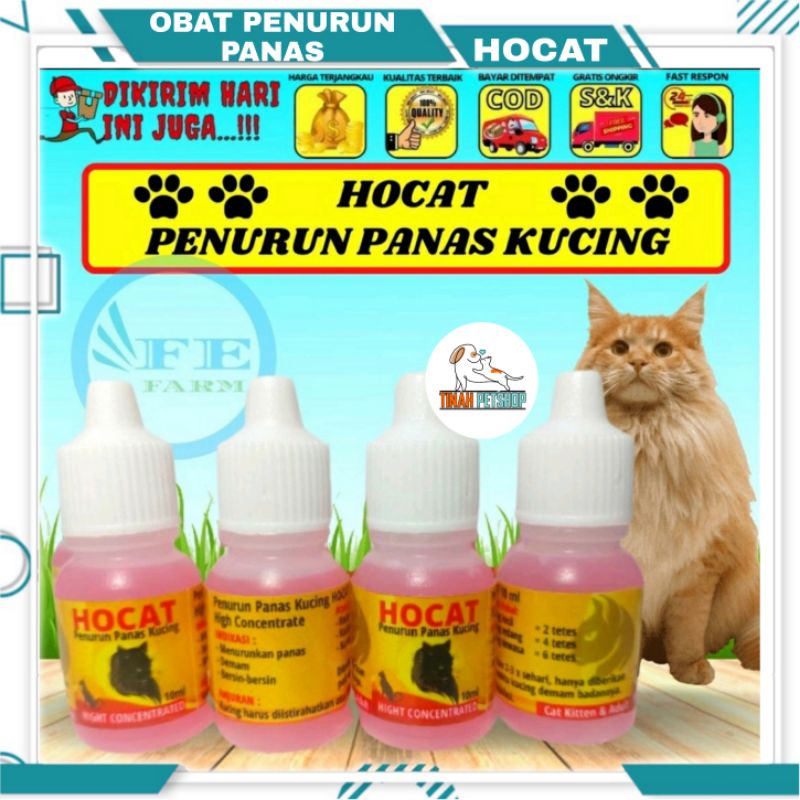 Hocat 10 ml Obat Penurun Demam Panas Pada Kucing Kitten Cat