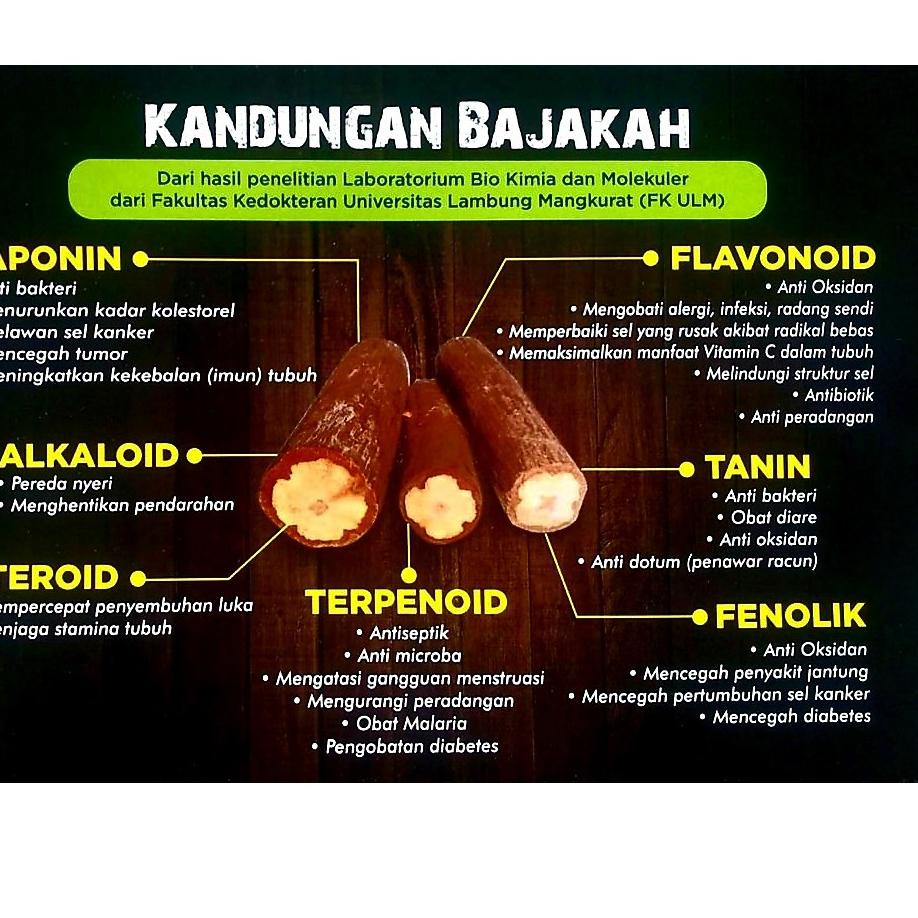 

{T-ASW) {✔) TEH BAJAKAH ASLI KALIMANTAN | TEH BAJAKAH PREMIUM ASLI KALIMANTAN | TEH BAJAKAH KALIMANTAN ASLI {paling laris)