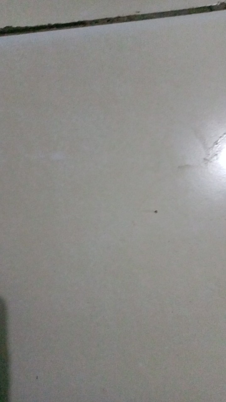 Batik Cowok Kualitas Original Model Regulare Kualitas Setara Mall Asli Luigi Batani Lb