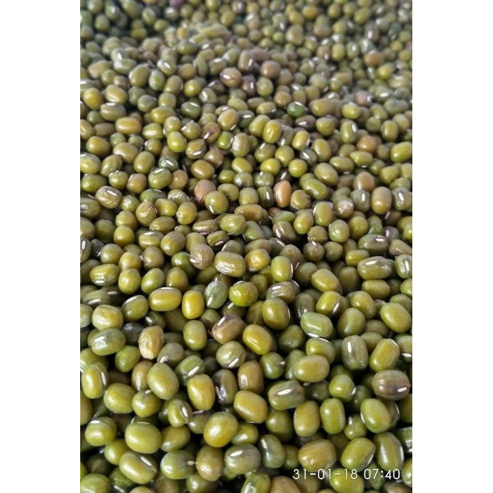 

PASAR ONLINE MURAH - KACANG IJO 250GR