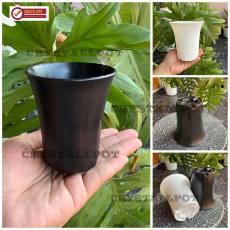 pot bunga tanaman nkt sanse 12 diameter 10,5 cm - NKT SANSE 12