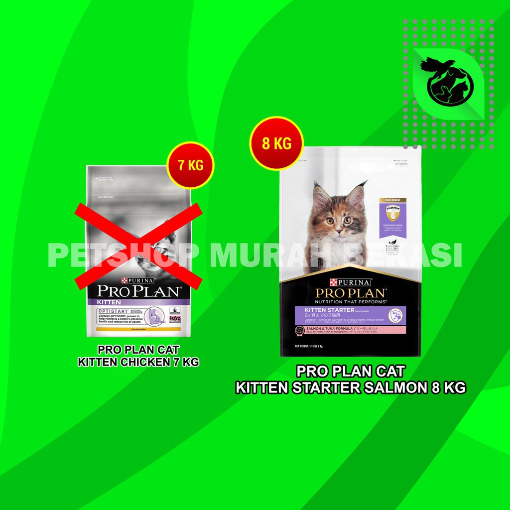 ProPlan Makanan Anak Kucing Pro Plan Kitten Starter Salmon &amp; Tuna 8 KG