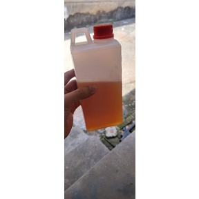 

MADU KELULUT / KELENCENG | MENJAGA DAYA TUBUH | 1KG | 100% ASLI LEBAH