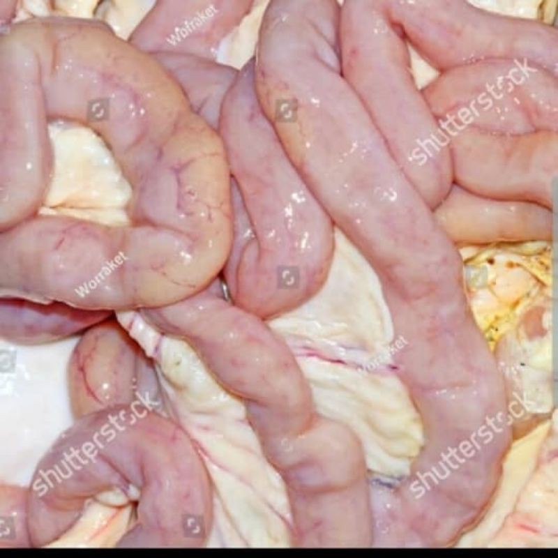 

USUS BABI 1KG