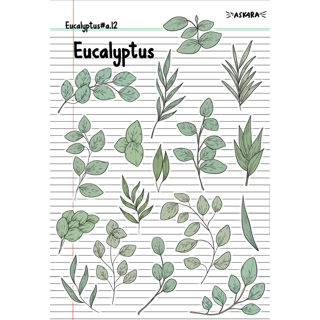 

Sticker Eucalyptus