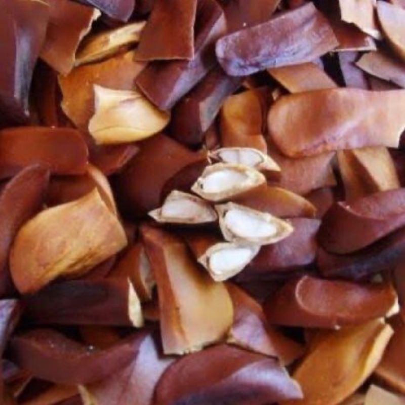 

Biji mahoni kering 20bj