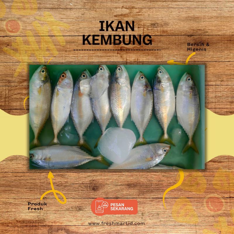 

Kembung Segar