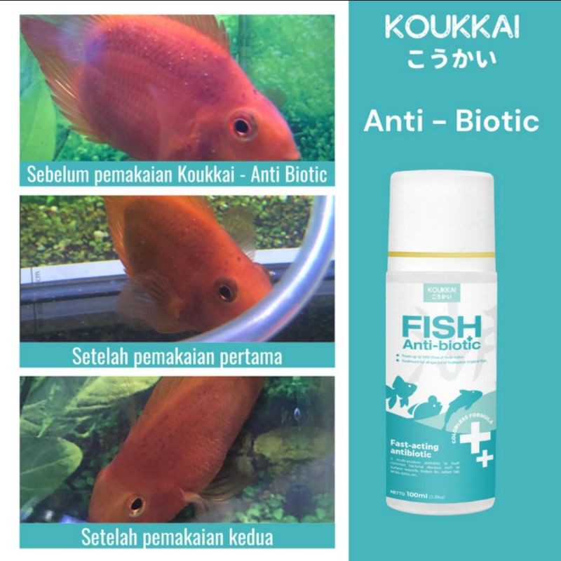 KOUKKAI - Fish Antibiotic / Obat Ikan Perut Kembung, Sisik Lepas, Dan Lainnya