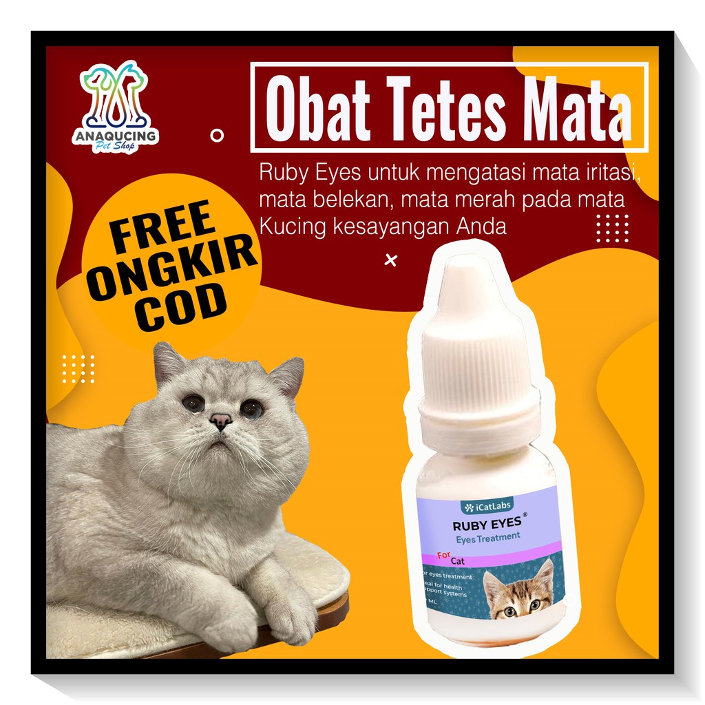 Obat Pembasmi Tetes Kutu Kucing Ampuh ICAT TICK Shopee Indonesia