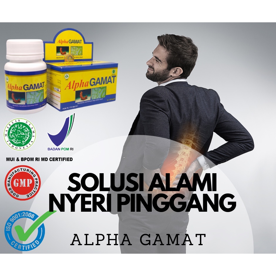 Obat Nyeri Pinggang | Obat Nyeri Pinggang Herbal | Obat Sakit Pinggang Untuk Lansia | Obat Nyeri Pin