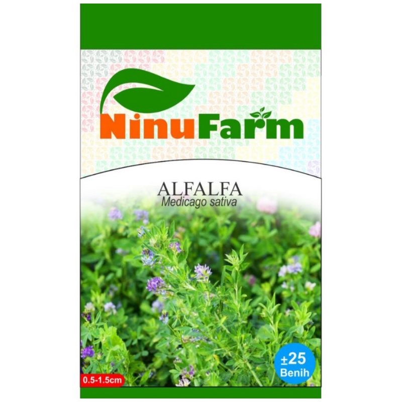 Benih Bunga ALFALFA