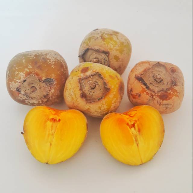 

Buah Kesemek fresh 1 kg