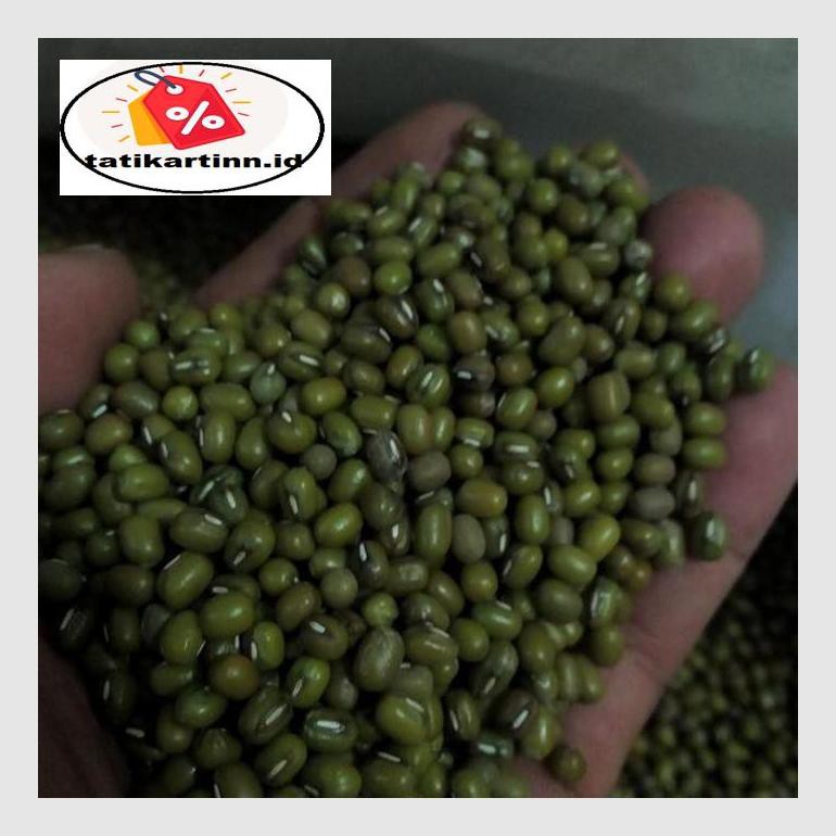 

S50Tat Kacang Hijau Atr05Ytt