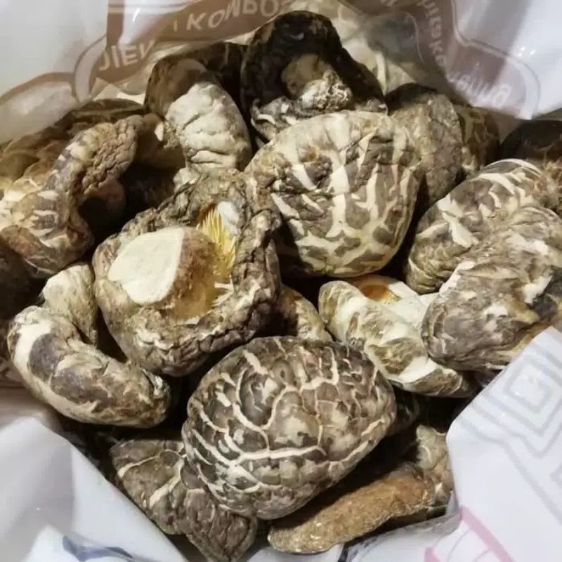

Jamur Shitake Kering isi 50gr Hioko