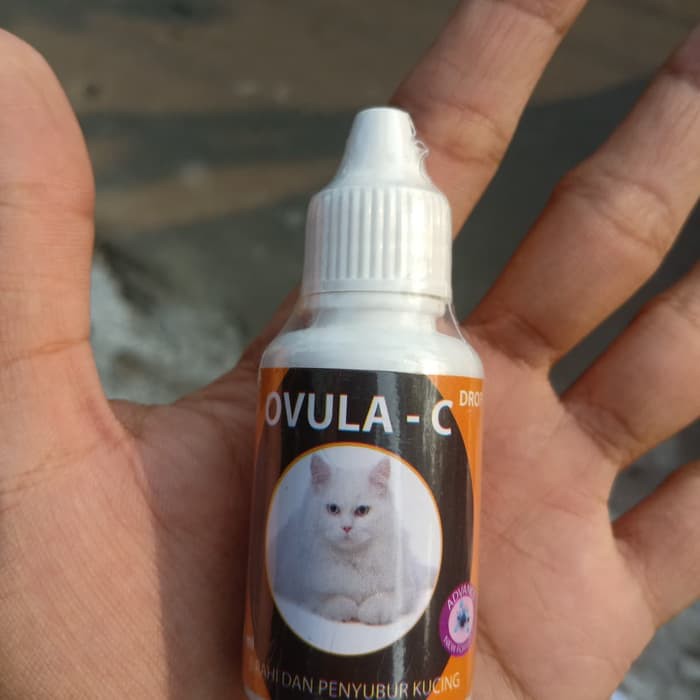 ASR301 Ovula C Drop 30ml - Ovula Cat Obat Birahi Kucing Penyubur Kandungan