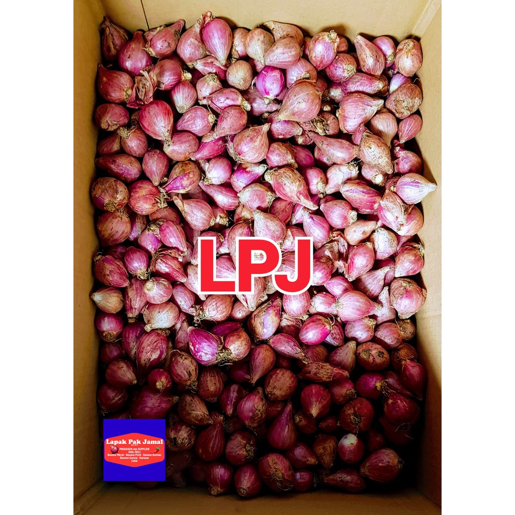 

Bawang MERAH BREBES SUPER - 500 Gram - LPJ