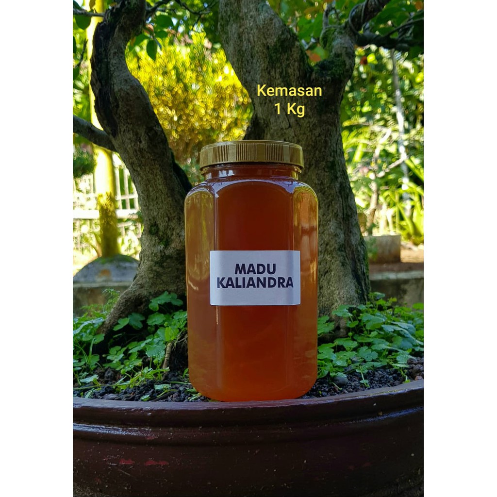 

MADU KALIANDRA 1000gr / RAW HONEY / MADU HUTAN ASLI MURNI