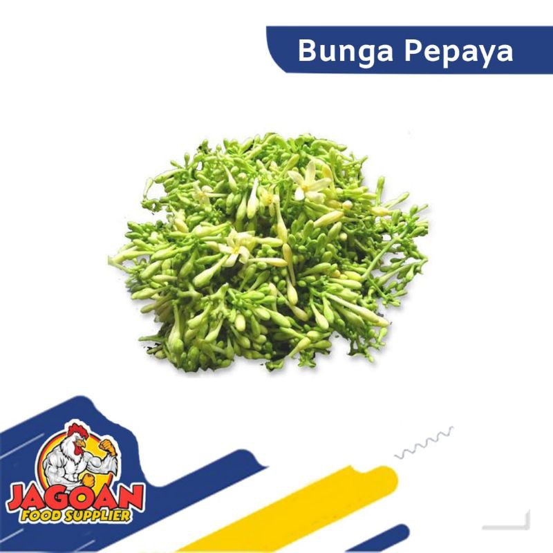 

TERMURAH!!! BUNGA PEPAYA 500gr / SAYURAN