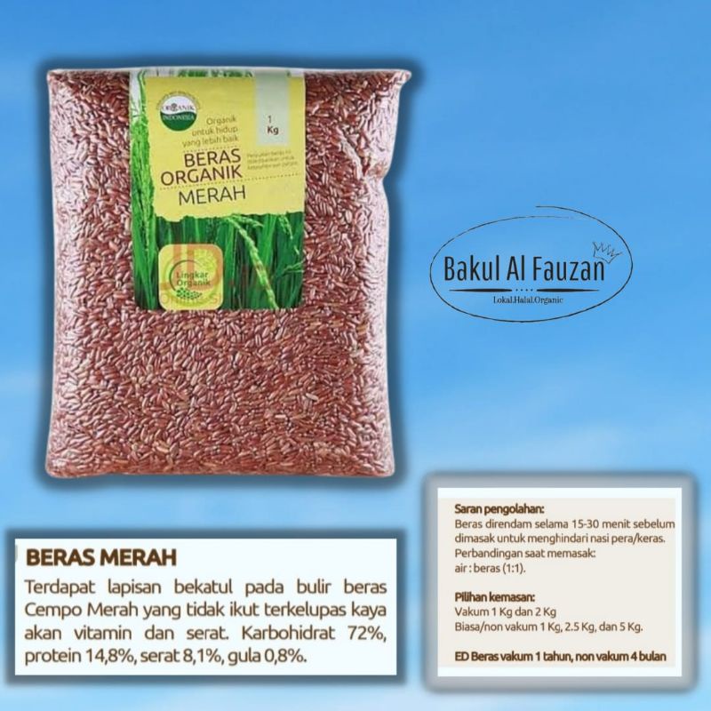 

Beras Merah Organik 2kg kemasan vacum | Beras Merah Organik Non GMO | Banjarmasin