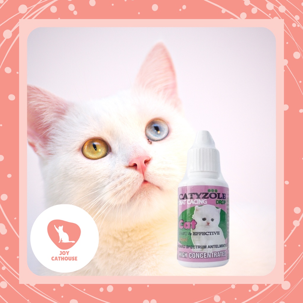 CATYZOLE DROP - Obat Anti Infeksi Cacing Kucing Cat Kitten 30ml