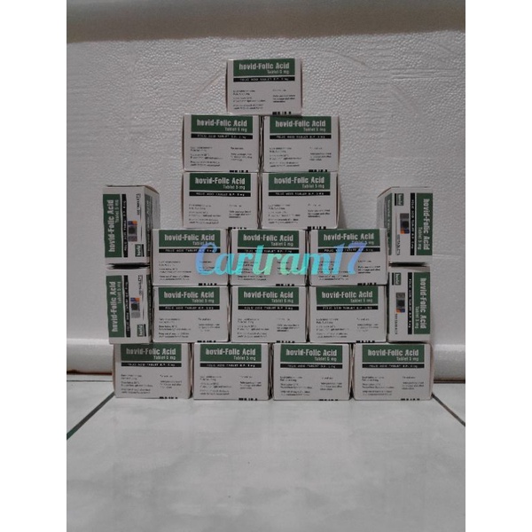 Hovid Folic Acid 5 mg 1 Box Isi 100 Tablet Import