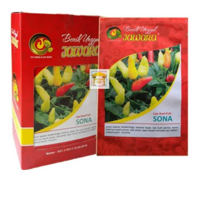 Benih bibit cabe rawit sona produk jawara