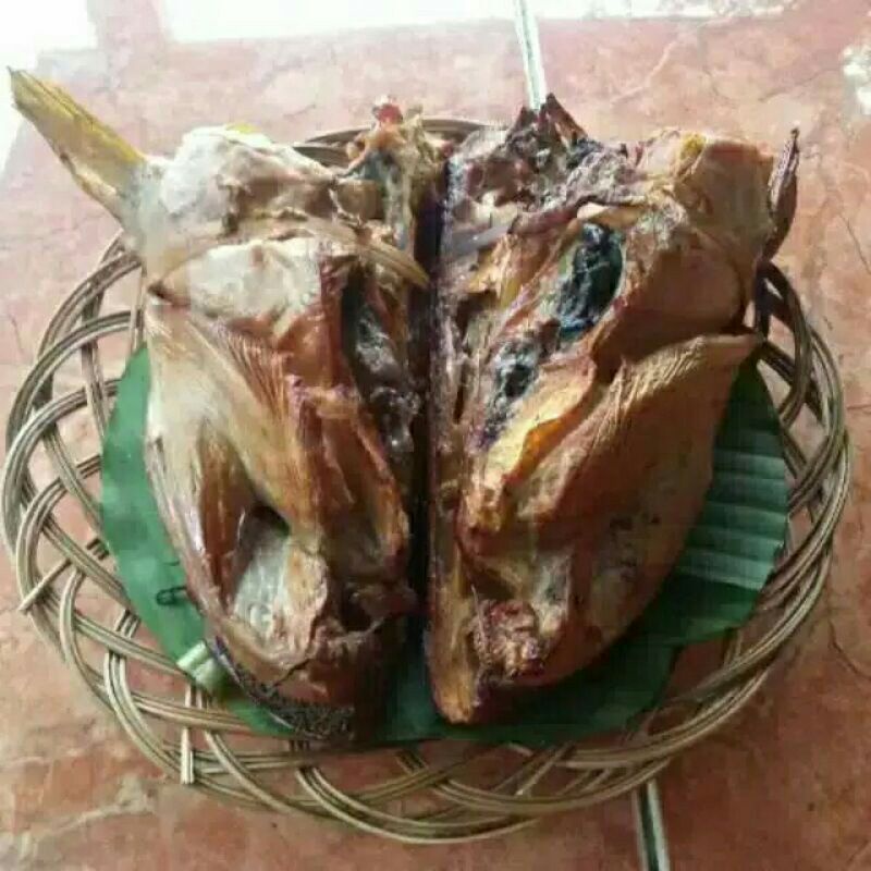 

kepala ikan manyung
