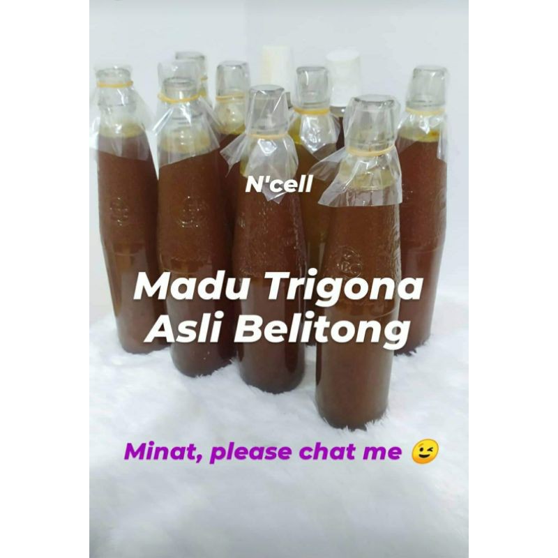 

Madu Trigona