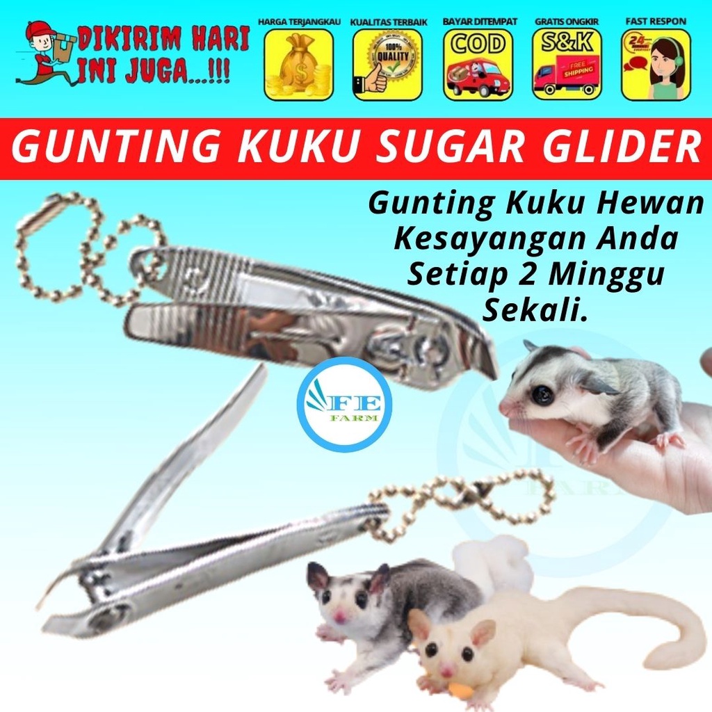 GUNTING KUKU HEWAN SUGAR GLIDER / KUCING / RAPTILE / HAMSTER / KELINCI FEFARM