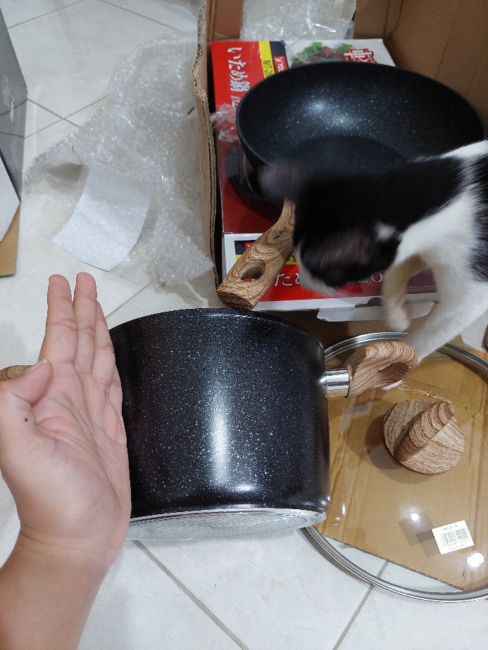 Yoshikawa Mj1212 20cm Panci Tinggi Marble Tutup Kaca Fry Wok ( Iop-3 )