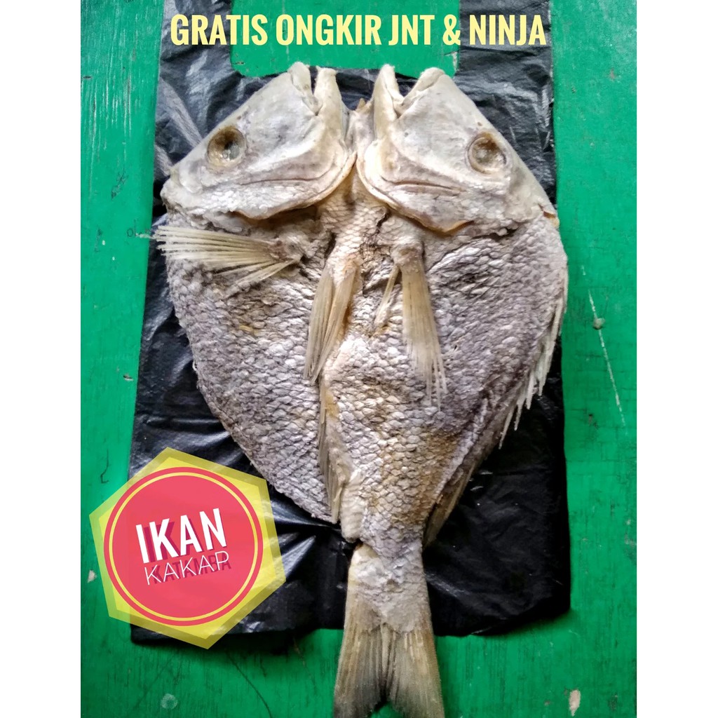 

IKAN KERING KAKAP KHAS MAKASSAR 500 Gram
