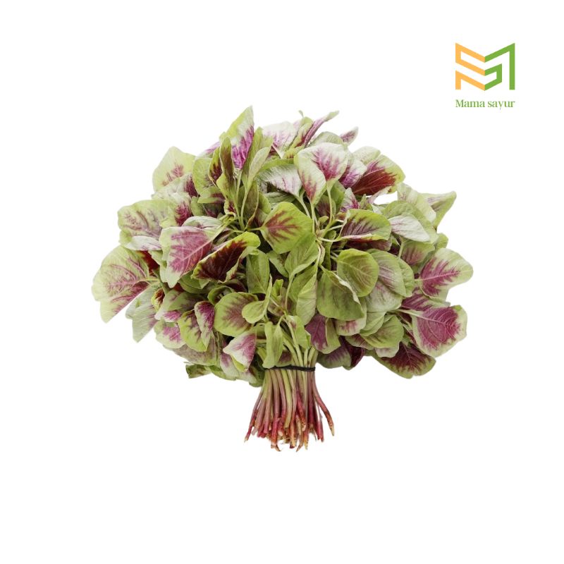 

Bayam hijau segar per pack