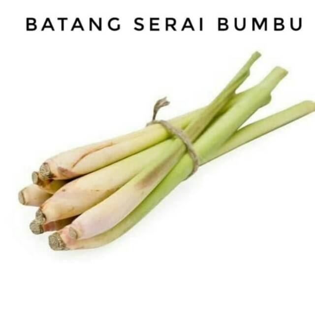 

sereh bumbu segar 500grm