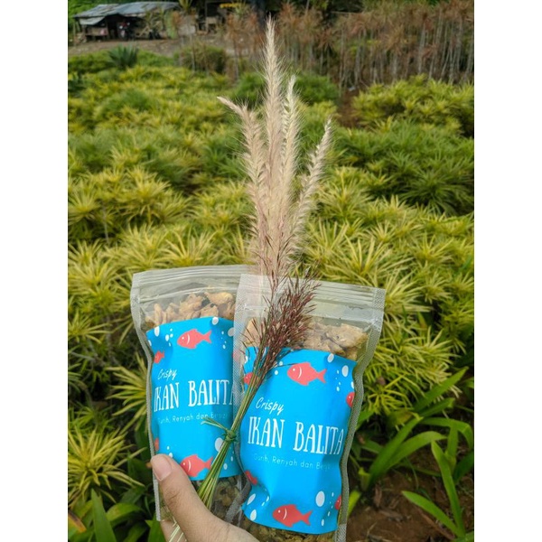 

Crispy Ikan Balita| Baby Fish| Anak Ikan