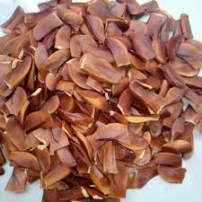 Biji Mahoni Obat Herbal