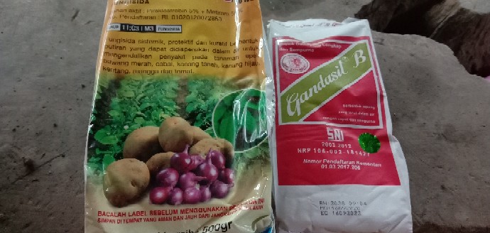 Fungisida Basf Cabrio Top 60wg 500gr