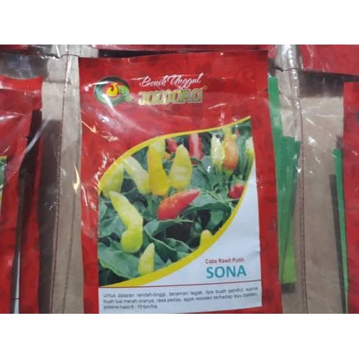 bibit cabe rawit sona(jawara)