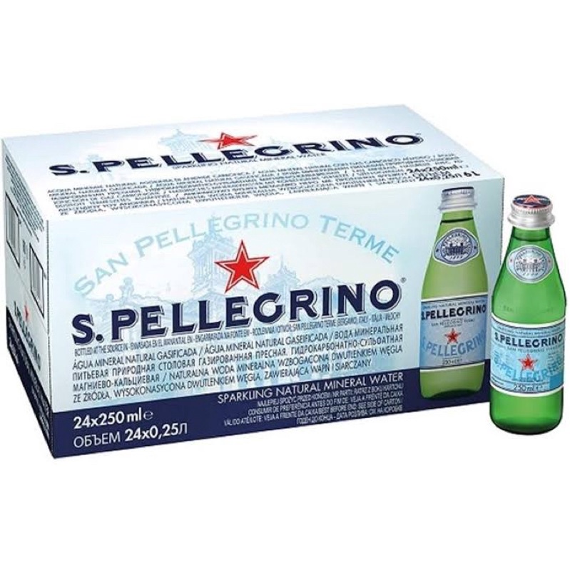 

San Pellegrino Sparkling Water 250ml x 24 btl