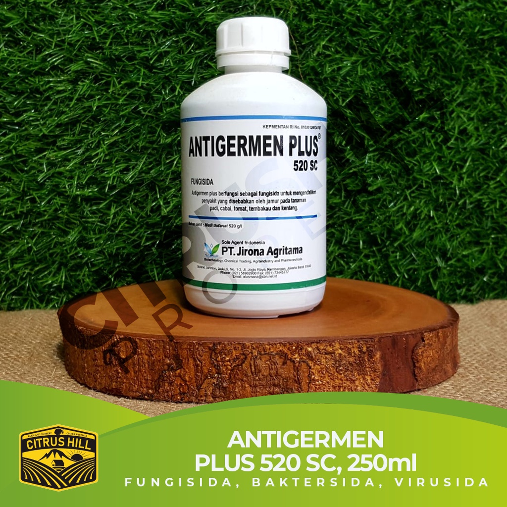 ANTIGERMEN PLUS 520 SC Fungisida Bakterisida Virusida