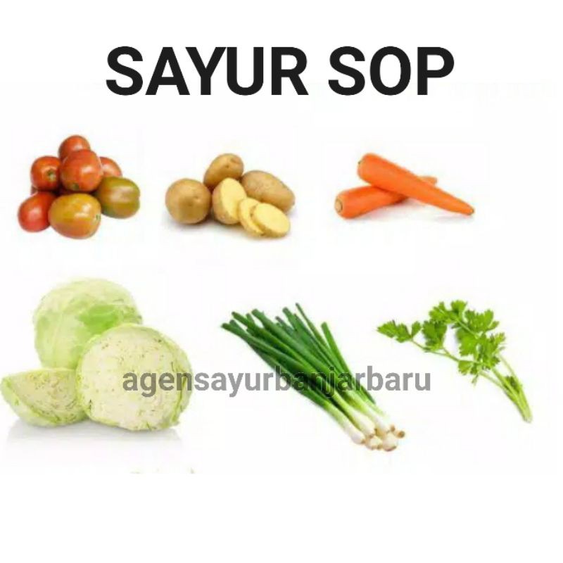 

Sayur Sop