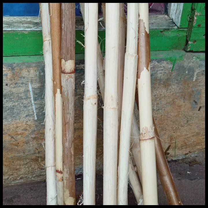 Rotan Batangan/Pentungan Rotan/Tongkat Rotan