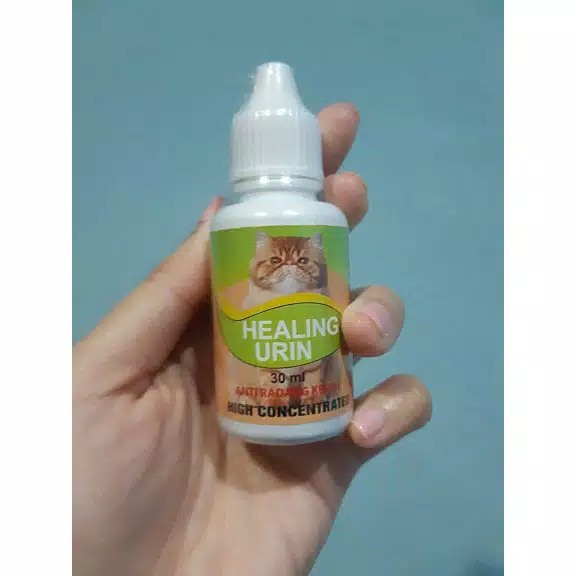 Healing Urin Anti Radang Kemih Kucing Sulit Buang Kecil