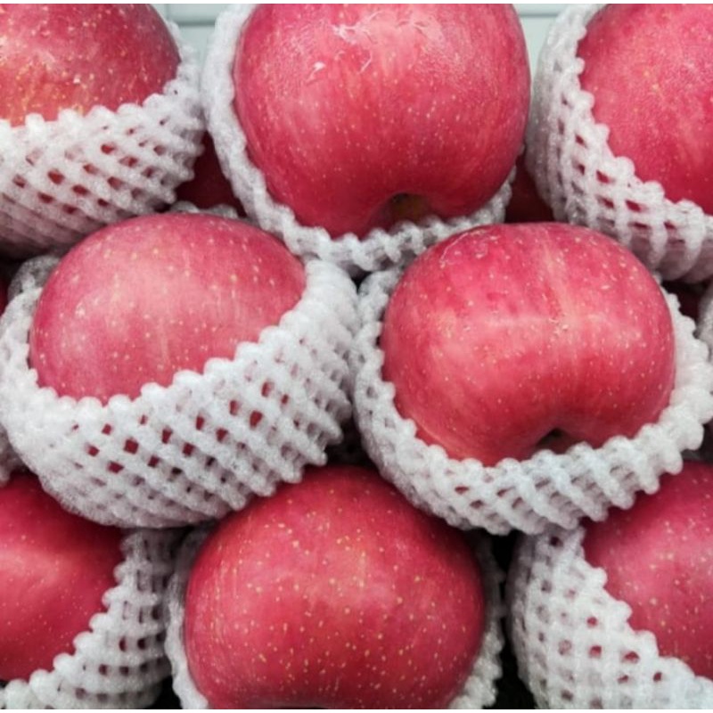 

Buah apel Fuji / apel premium garing 1kg