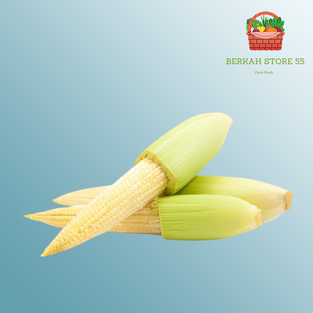 

Jagung Acar / Jagung Muda / Jagung Putren 250 Gram