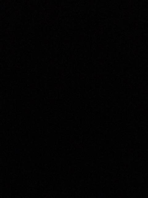 Sprei Motif Wild Bee