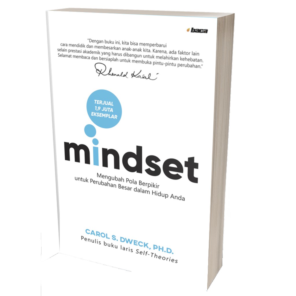 MINDSET - CAROL S DWECK