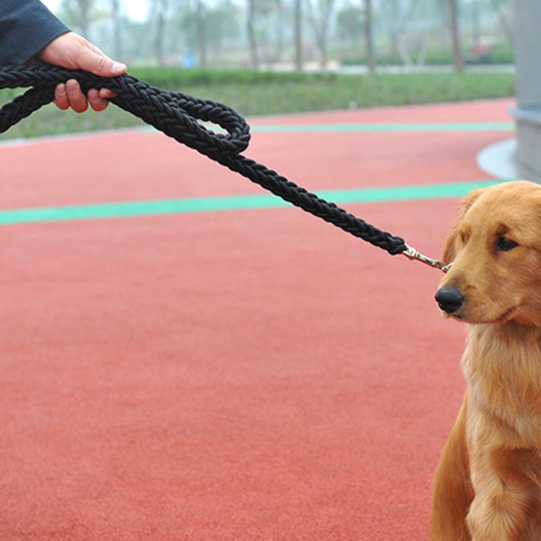 Tali Kekang Tebal Warna Hitam Untuk Anjing Besar Shopee Indonesia