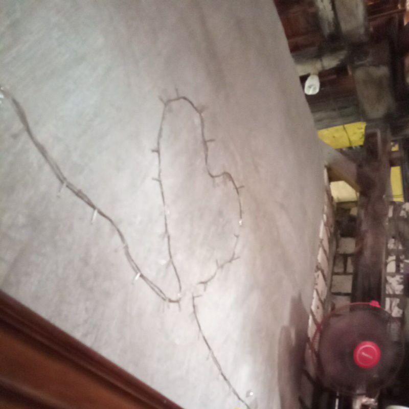 Bibit Timun Semi F 1