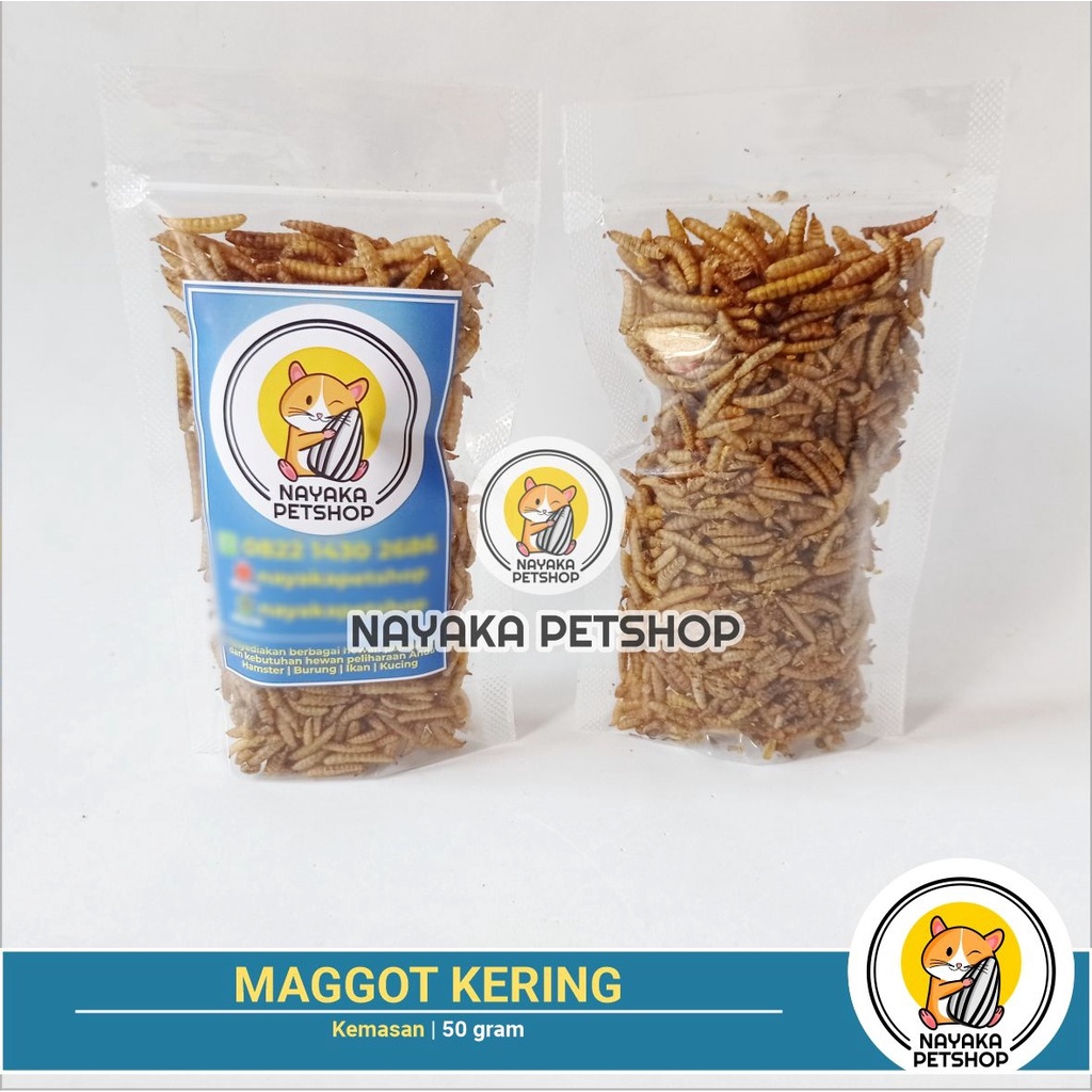 Maggot Kering 50 gr Mealworm Pakan Hamster Makanan Sugar Glider Burung Ikan Koi